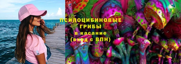 прущие грибы Армянск