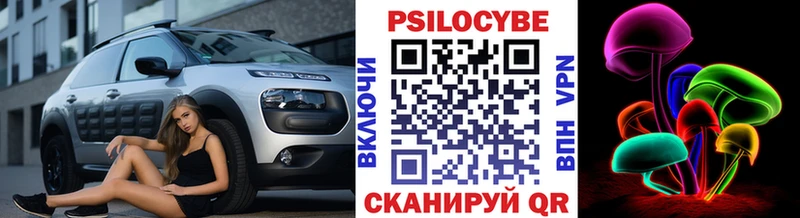 Псилоцибиновые грибы GOLDEN TEACHER KRAKEN вход Краснослободск наркошоп